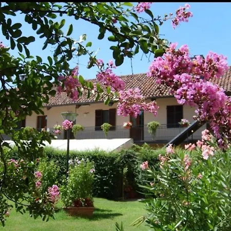 Oryza Sulla Via Francigena